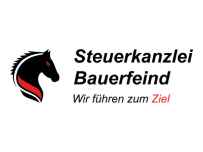 SEO in Karlsruhe Kundenstimme Steuerkanzlei